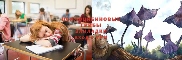спиды Елизово