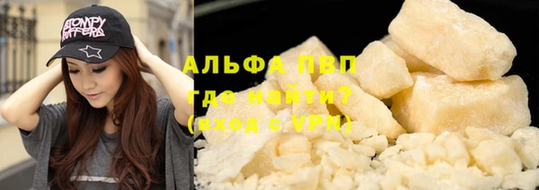 спиды Елизово