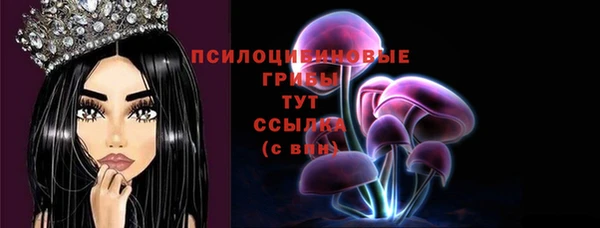 a pvp Ельня