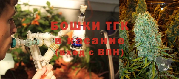мет Дмитров