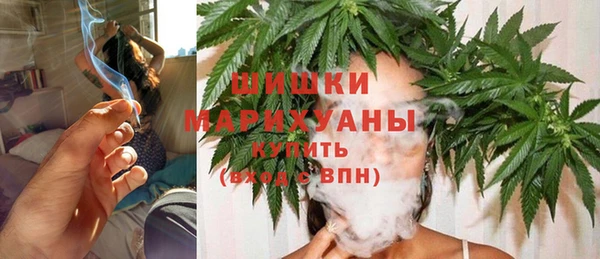 a pvp Ельня