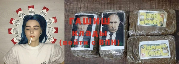a pvp Ельня