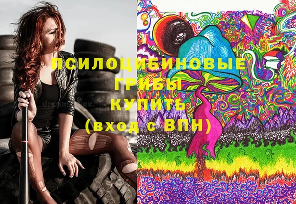 бошки Дмитриев